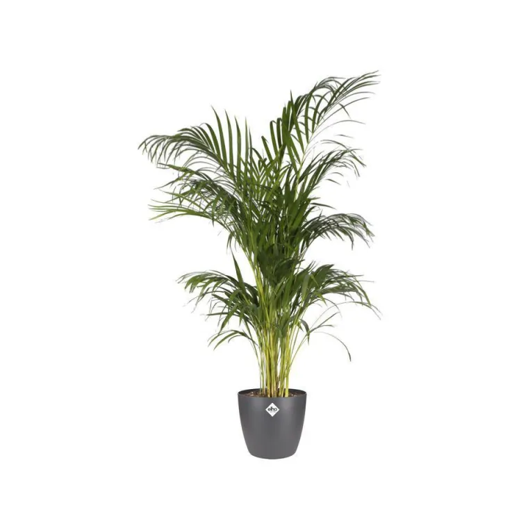 Hot ELHO Cache-pot Brussels rond Ø 16 x 14,6 cm polypropylène injecté