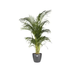 Clearance ELHO Cache-pot Brussels rond Ø 20x 18,6 cm polypropylène injecté