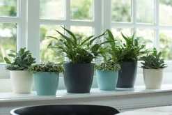 Clearance ELHO Cache-pot Brussels rond Ø 20x 18,6 cm polypropylène injecté