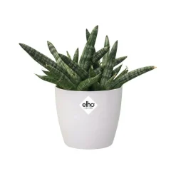 Sale ELHO Cache-pot Brussels rond mini Ø 12,5 x H 11,4 cm Polypropylène injecté