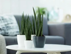 Sale ELHO Cache-pot Brussels rond mini Ø 12,5 x H 11,4 cm Polypropylène injecté