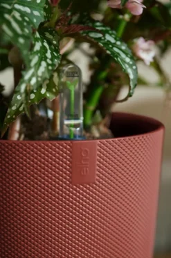 Clearance ELHO Cache-pot coloris rouge Jazz - Ø 23 cm