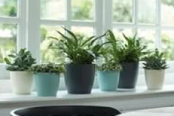 Sale ELHO Cache-pot en plastique coloris vert menthe Brussels M16 - Ø 16 cm