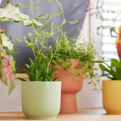 New ELHO Cache-pot en plastique recyclé vert sorbet Vibes fold rond mini - Ø 9 cm