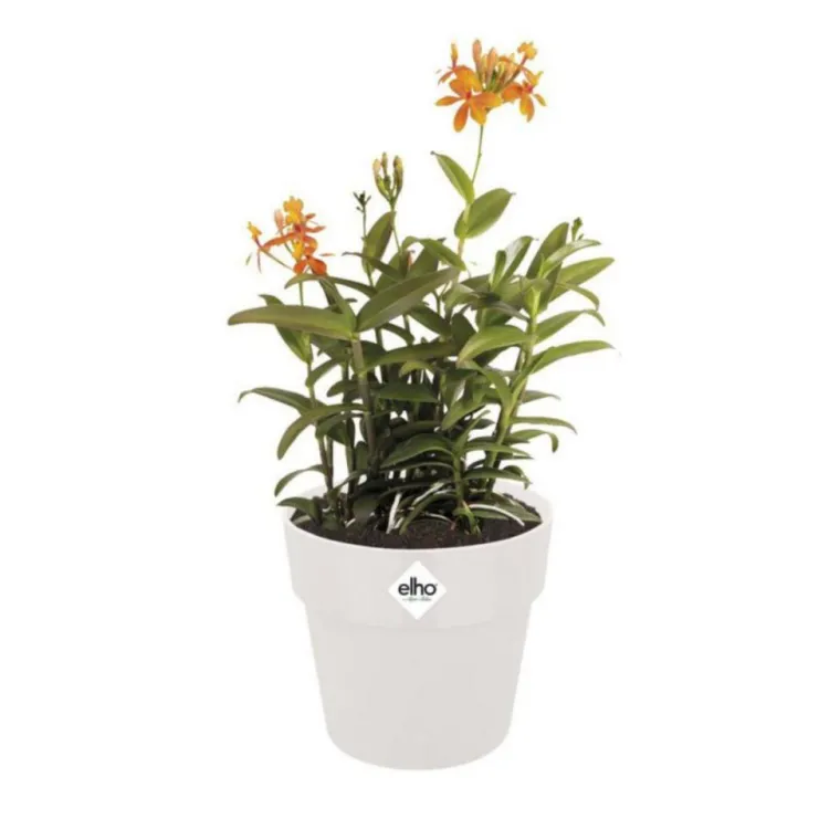 Best ELHO Cache-pot en polypropylène B.for original rond blanc - Ø 18 cm