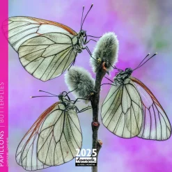 New AQUARUPELLA Calendrier 2025 papillons coloris multicolore - 16,5 x 16,5 cm