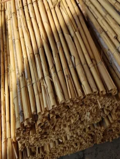 Hot SILVACANE Canisse de roseau entier - 5 m x H 150 cm