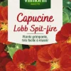 Hot VILMORIN Capucine Lobb Spit-Fire - graines à semer
