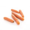 Hot Carotte lavée bio de France ou Italie - Prix au kg