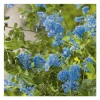 Outlet BOTANIC® Ceanothe (CEANOTHUS VARIEE) Le pot de 3 litres