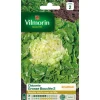 Online VILMORIN Chicorée Grosse Bouclée 2 - graines à semer