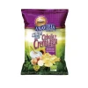 New ANAVEJIA Chips crème aigre et oignons bio - 100 g