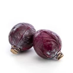 Online Chou rouge bio des Pays-Bas - Prix à la pièce