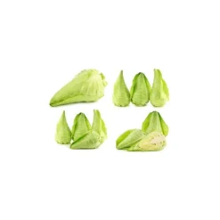 Chou vert pointu bio de France - Prix à la pièce