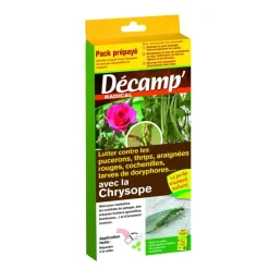 Sale DÉCAMP' Chrysopes carnet