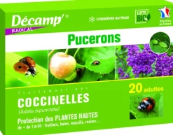 New DECAMP Coccinelles Adalia Bipunctata 20 adultes