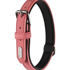 Best FLAMINGO Collier chien Delu rose 47/57 x 3 cm