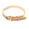 Online MARTIN SELLIER Collier en cuir naturel pour chien 2,6x56 cm