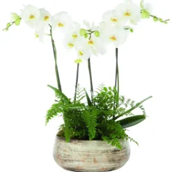 BOTANIC® Composition florale