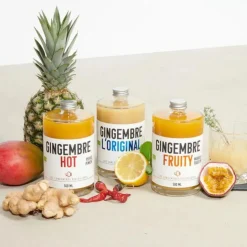 QUAI SUD Concentrés bio gingembre fruty mangue passion - 50cl
