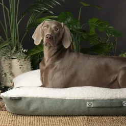 New SCRUFFS Couchage pour chien coloris vert coussin Eco Eden - Taille XL 120 x 75 cm
