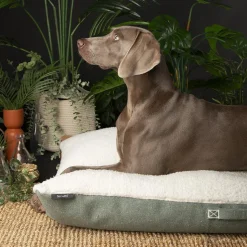 New SCRUFFS Couchage pour chien coloris vert coussin Eco Eden - Taille XL 120 x 75 cm