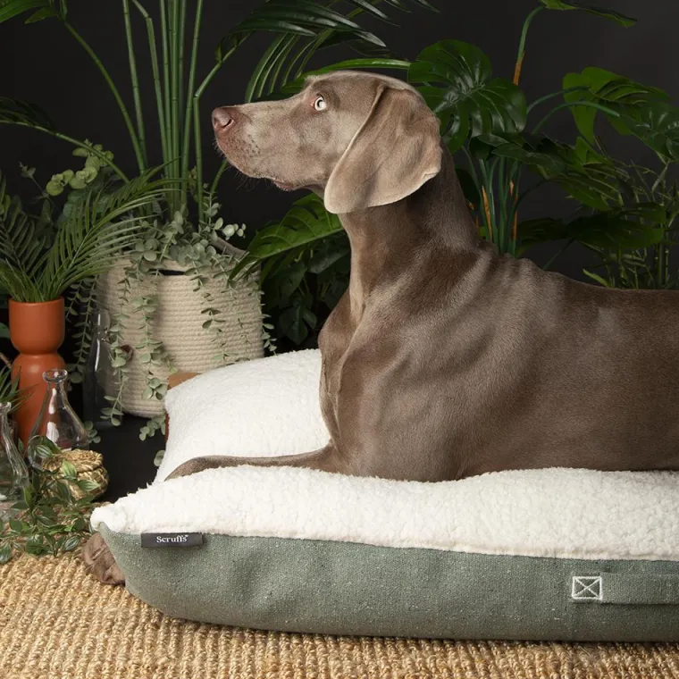 New SCRUFFS Couchage pour chien coloris vert coussin Eco Eden - Taille XL 120 x 75 cm