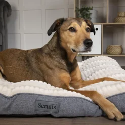 Clearance SCRUFFS Couchage pour chien coloris gris coussin Ellen - Taille M 82 x 58 cm