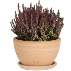 Online TERRABLANCA Coupe Cuenco lisse en terre cuite - D21x H12