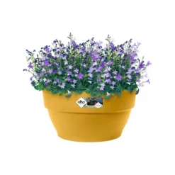 Best ELHO Coupe ronde en plastique recyclé jaune miel Vibia Campana - Ø 27 x H 14 cm