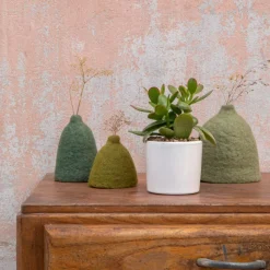 Clearance BOTANIC® Crassula mix en pot émaillé blanc Ø 10 cm