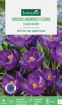 Sale BOTANIC® Crocus en mélange - 10 bulbes