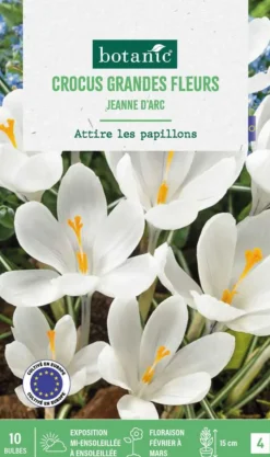 Online BOTANIC® Crocus Jeanne d'Arc en mélange - 10 bulbes