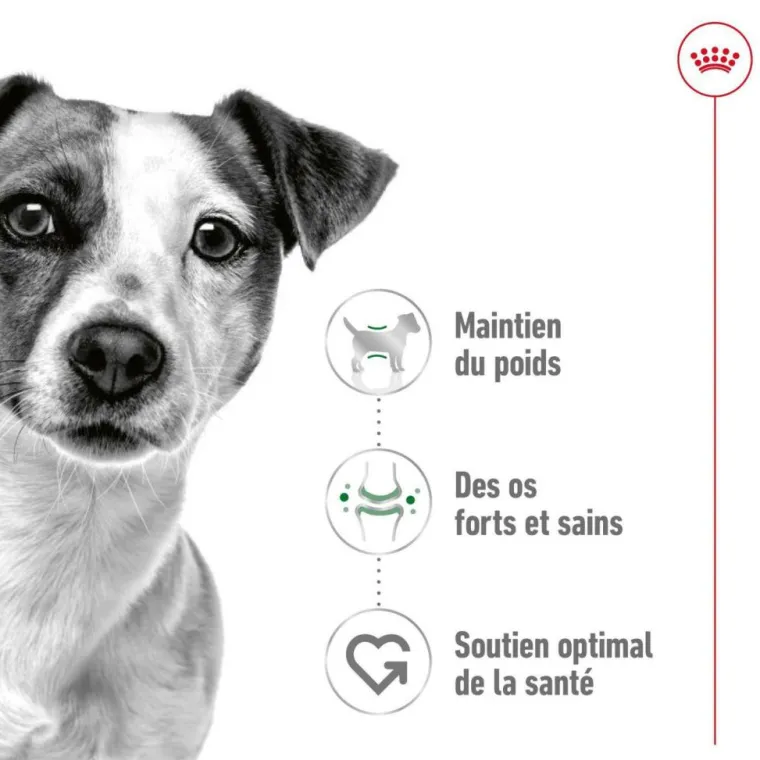 Discount ROYAL CANIN Croquette pour chien adulte de petite taille - 4 kg
