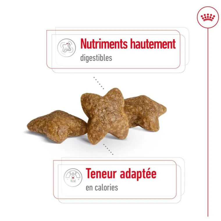 Discount ROYAL CANIN Croquette pour chien adulte de petite taille - 4 kg