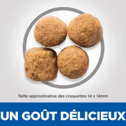 Discount HILL'S Croquette pour chien adulte grande race au poulet - 12 kg