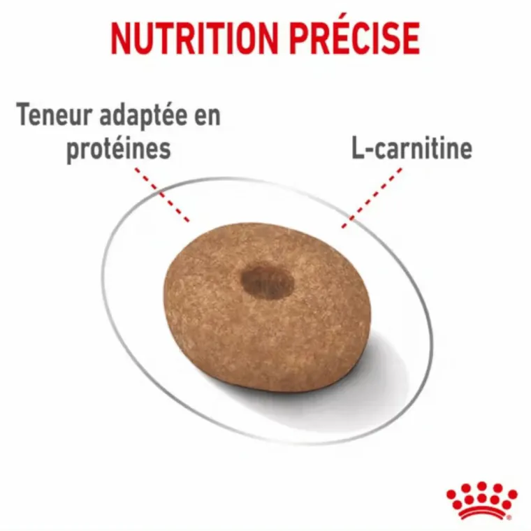 New ROYAL CANIN Croquette pour chien adulte de petite taille light weight care - 3 kg