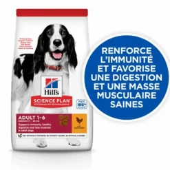 Hot HILL'S Croquette pour chien adulte au poulet - 12 kg