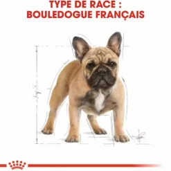 Online ROYAL CANIN Croquette pour chien Bulldog français - 9 kg