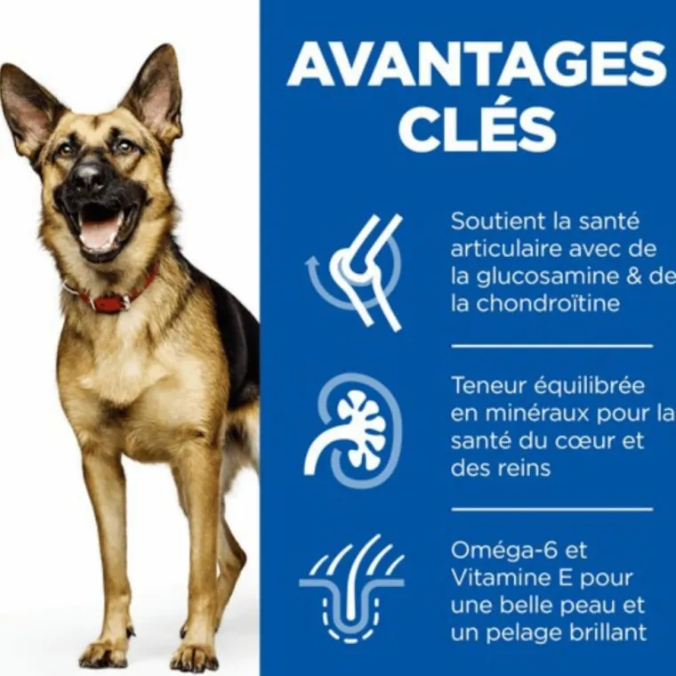 Sale HILL'S Croquette pour chien mature de grande race au poulet - 18 kg