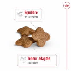 Online ROYAL CANIN Croquette pour chien mature de petite taille - 2 kg