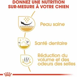 Hot ROYAL CANIN Croquette pour chien Shih Tzu - 3 kg