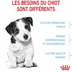 Sale ROYAL CANIN Croquette pour chiot - 8 kg