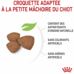 Sale ROYAL CANIN Croquette pour chiot - 8 kg