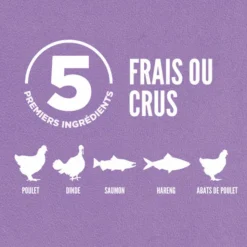 Best ORIJEN Croquettes Chaton - 1,8 kg