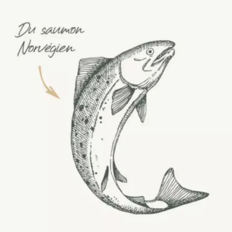 Hot BAB'IN Croquettes pour chat adulte stérilisé au saumon sans céréales Signature - 6 kg