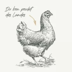 Sale BAB'IN Croquettes pour chat adulte au poulet sans céréales Signature - 1,5 kg