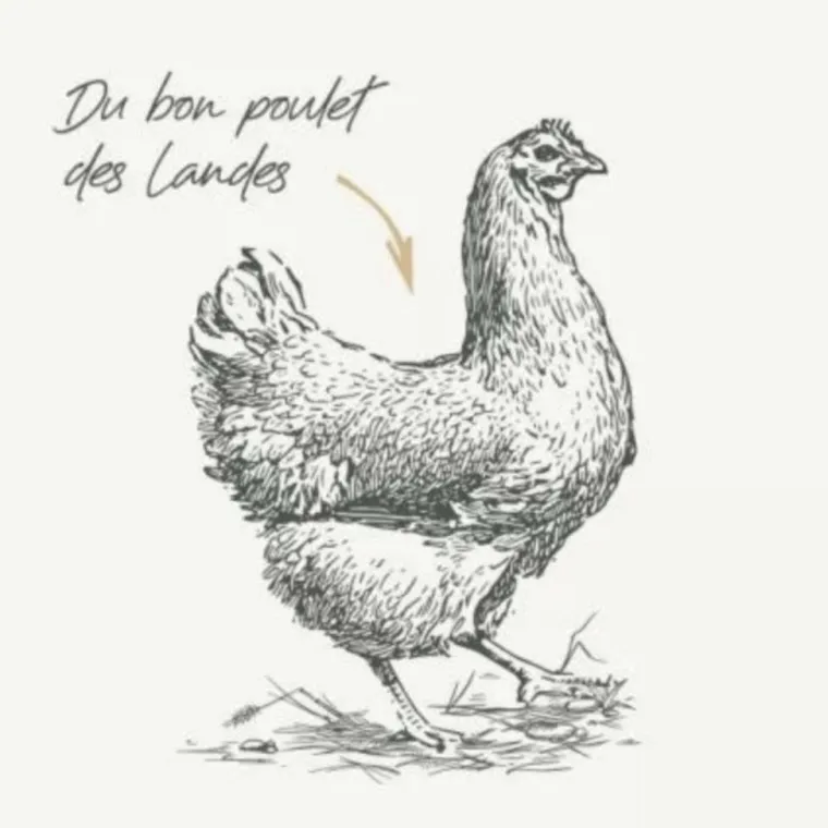 Sale BAB'IN Croquettes pour chat adulte au poulet sans céréales Signature - 1,5 kg