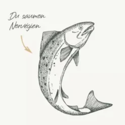 Discount BAB'IN Croquettes pour chat adulte stérilisé au saumon sans céréales Signature - 1,5 kg