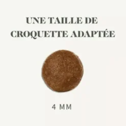 Discount BAB'IN Croquettes pour chat adulte stérilisé au saumon sans céréales Signature - 1,5 kg